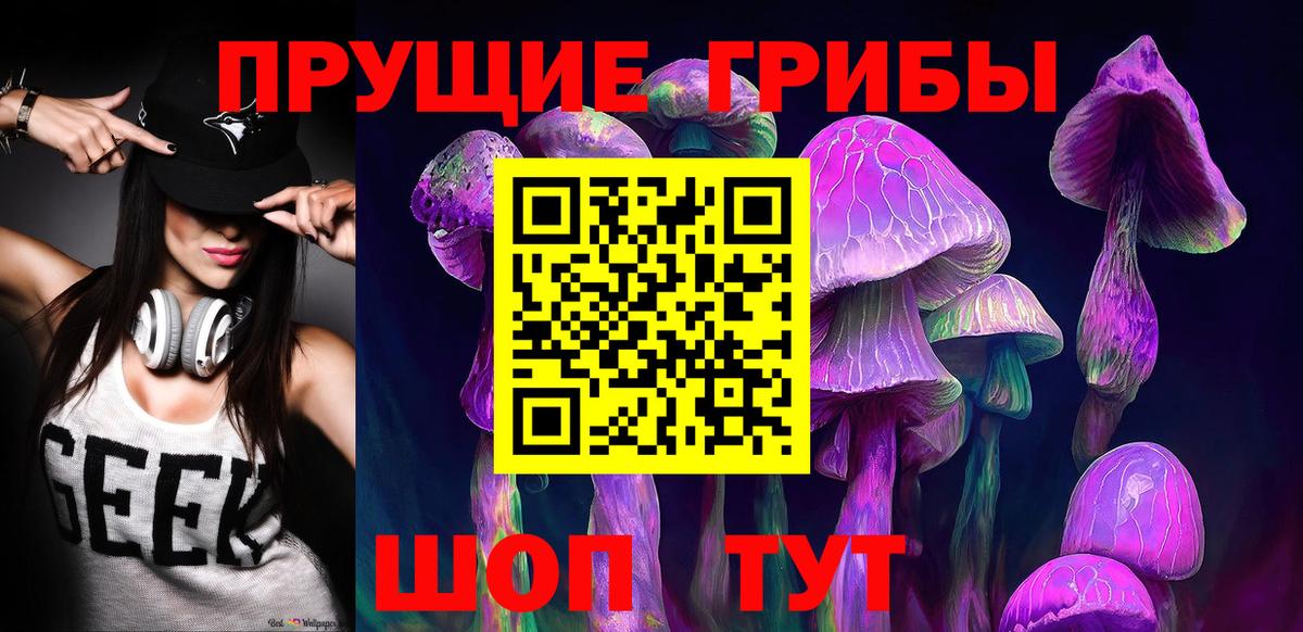 Псилоцибиновые грибы Psilocybe Анапа
