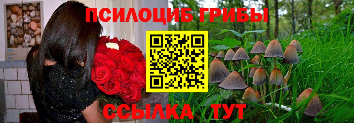 Псилоцибиновые грибы MAGIC MUSHROOMS  Вход с VPN  Анапа 